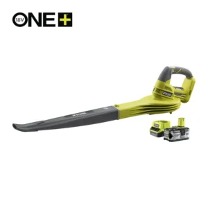 Souffleur 18V ONE+™ (1 x 4,0 Ah)