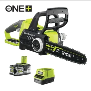 Tronçonneuse Brushless 18V ONE+™ (1 x 5,0 Ah)