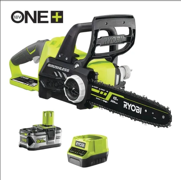 Tronçonneuse Brushless 18V ONE+™ (1 x 5,0 Ah)